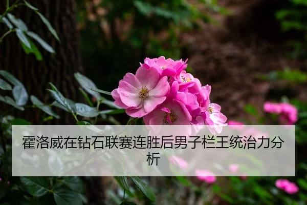 霍洛威在钻石联赛连胜后男子栏王统治力分析