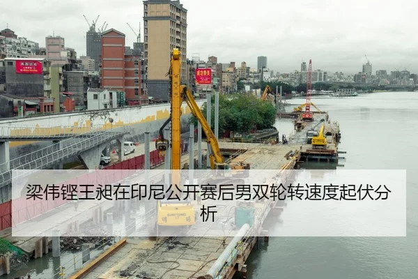 梁伟铿王昶在印尼公开赛后男双轮转速度起伏分析