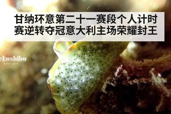 甘纳环意第二十一赛段个人计时赛逆转夺冠意大利主场荣耀封王